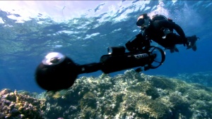 Virtual Scuba Diving of The Great Barrier Reef with Google