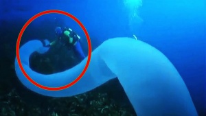 10 Unbelievable Ocean Phenomena [Video]