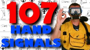 100+ Hands Signals For Scuba divers