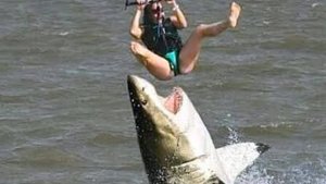 When The Unexpected Becomes Close Calls and  Narrow Escapes at Sea