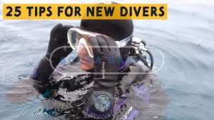 Scuba Diving Tips To Become A Better Scuba Diver