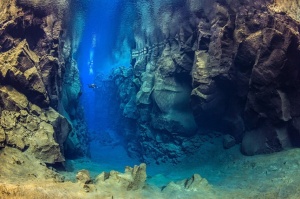 Magical Dive Photos