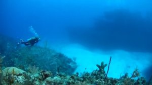 The Amazing Diving of The Cayman Islands 