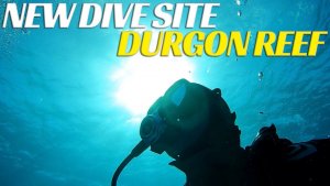 Dive Bermuda – Diving New Sites In Bermuda