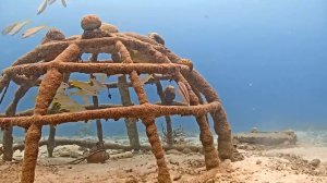 Reef Cams – Live Reef Cameras
