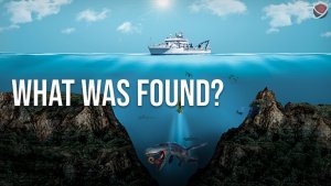 Journey To The Bottom Of The Ocean Reveals Jaw-Dropping Facts