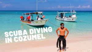 Great Diving In Cozumel And It Is Open For Diving