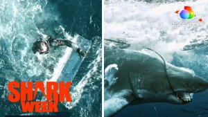 Shark Smashes Glass Cage – Diver Swims For Life