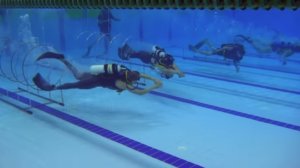 Underwater Sports For Scuba Divers Includes Sport Diving