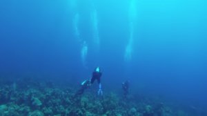 Scuba Divers Experience Annoying Pings of A Submarine’s Sonar