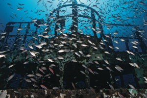 The Best Scuba Diving Sites in The US