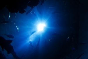 Things To Know About Diving Deep