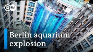 Huge Aquarium Bursts – 1500 Fish Flood Lobby