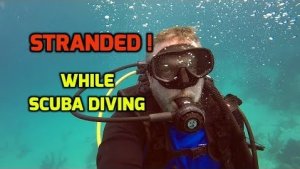 Bad Dive Guides – What They Do & How To Handle Them