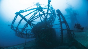 Best Dive Wrecks To Explore [Video]