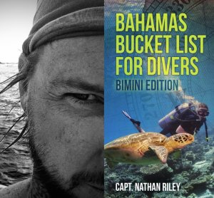 Bahamas Bucket List For Divers