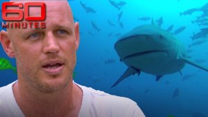 Bull Shark Attacks Diver, Takes Arm and Leg, But Diver Perseveres