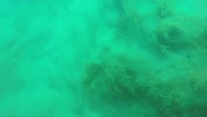Caught Scuba Diving  During an Earthquake 