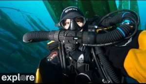 An Underwater Live Event From The Channel Islands