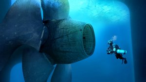 Scuba Divers & Underwater Maintenance