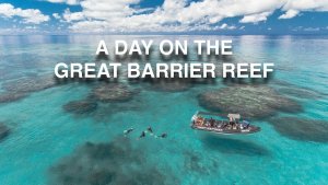 Experience The Great Barrier Reef Above and Below the Surface