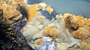 Deadly Underwater Lake below the Gulf of Mexico [Video]