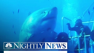Deep Blue Is In the News Again (Video)