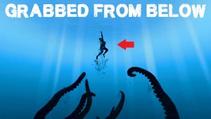 Deep Ocean Diving – Horrifying Incidents Gone Wrong