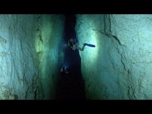 Dive The Stargate Blue Hole In The Bahamas 