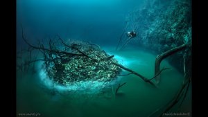 Dive an Underwater River or Lake?