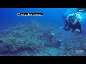 Diver Attacked By Criminals While Scuba Diving [Video]
