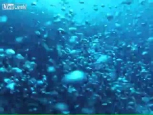 Diver Panics As he Is Sucked Down BY Current [Video]