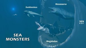 Diver vs. Large Sea Animals – Size Comparison Video