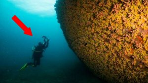 Dive Thailand Where $50 A Day Goes A Long Way