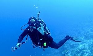 Questions Answered About Dry Suit P-Valves