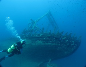 How To Pick A  Dive Site