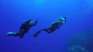 Diving Tips For Handling Vertical Currents 