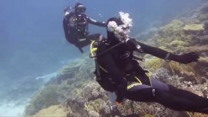 Diving Under The Influence of Nitrogen 