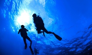 Survival Techniques For Dive Catastrophes