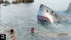 The Megalodon Could Still Actually Exist