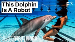 An Unbelievable Robotic Dolphin Experience to Look Forward To