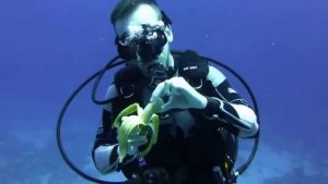 Eating Underwater While Scuba Diving? [Video]
