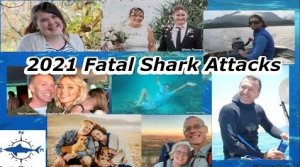 2021 Fatal Shark Attacks