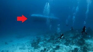 Freak Accidents – Underwater Mishaps