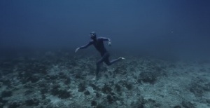 Amazing Mind Altering Video of Underwater Freedom