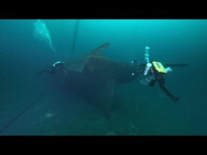 Great Lakes Shipwrecks Threatened By Invasive Species 
