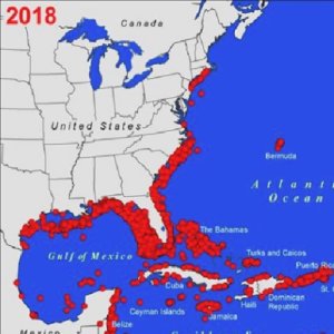 Invasive Lionfish Population Explosion Disaster