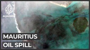 Devastating Oil Spill Threatens Pristine Coral Reefs, Its an Ecological Disaster