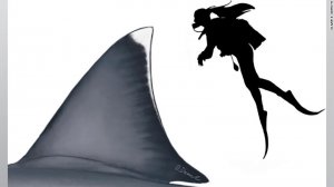 The Megalodon’s Vast Size Revealed By Computational Analysis