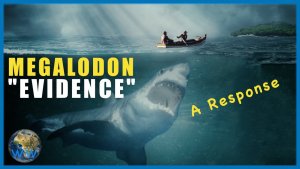 Megalodon Alive or Not -Evidence Reviewed